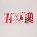 Block Printed Gift Bag - Gingham